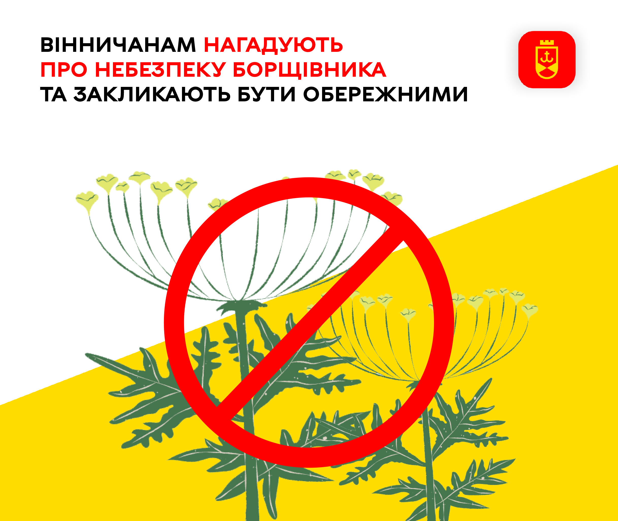 Вінничанам нагадують про небезпеку борщівника та закликають бути обережними